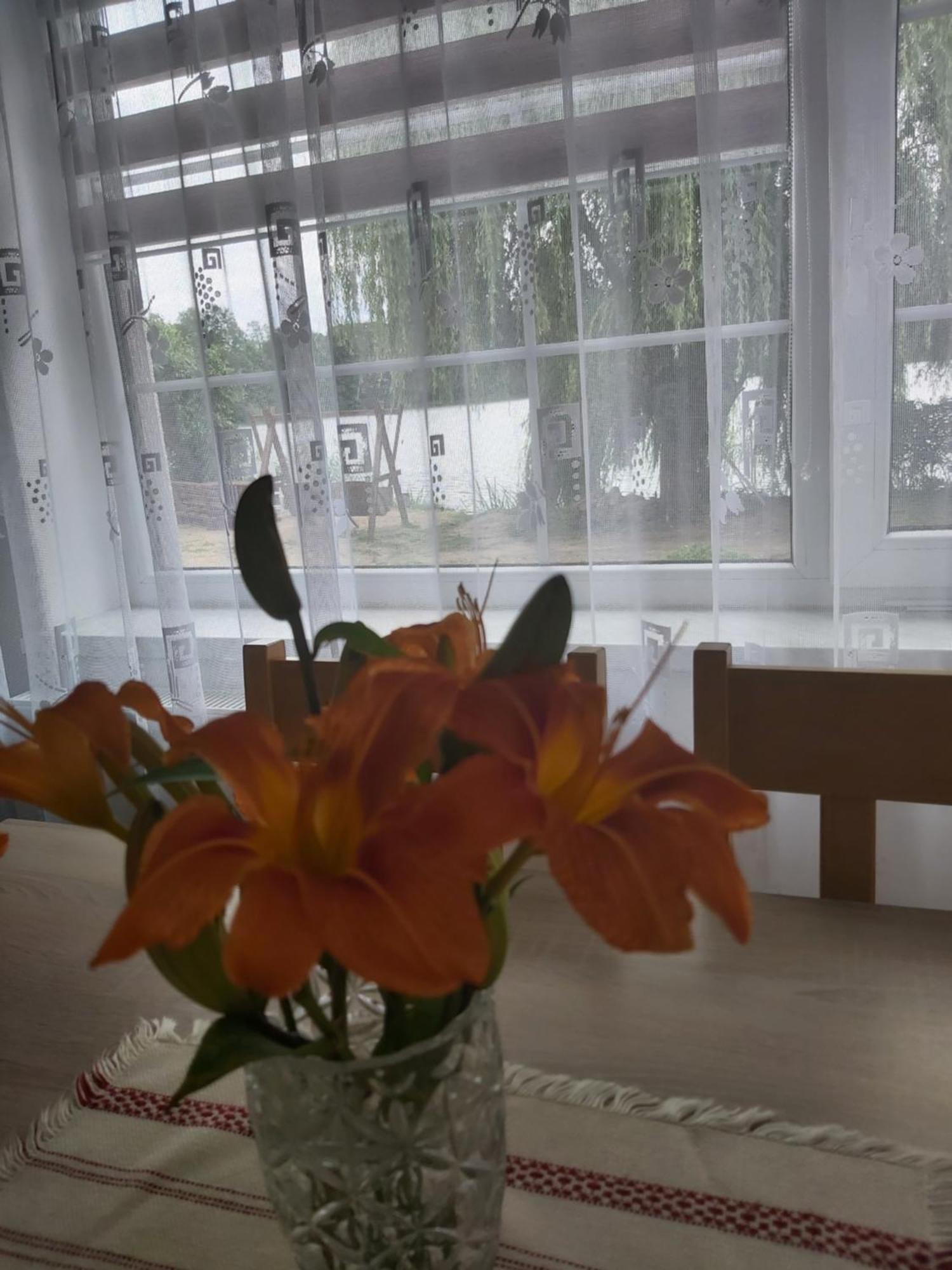 Agroturystyka "Jezioranka" Unichowo エクステリア 写真
